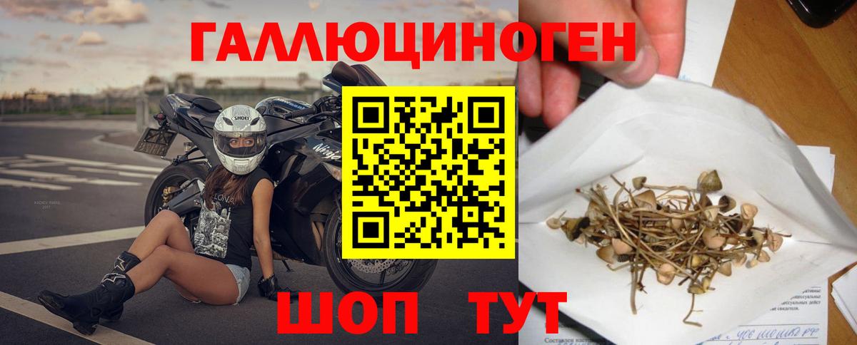 Псилоцибиновые грибы GOLDEN TEACHER Глазов